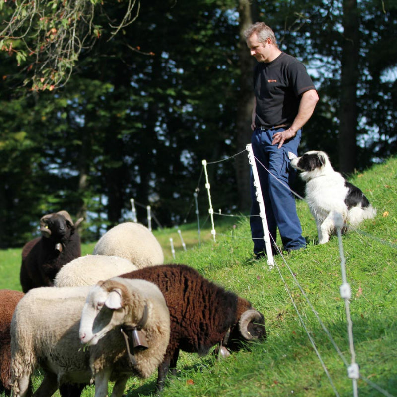 Pack de cloture Ovin 400m